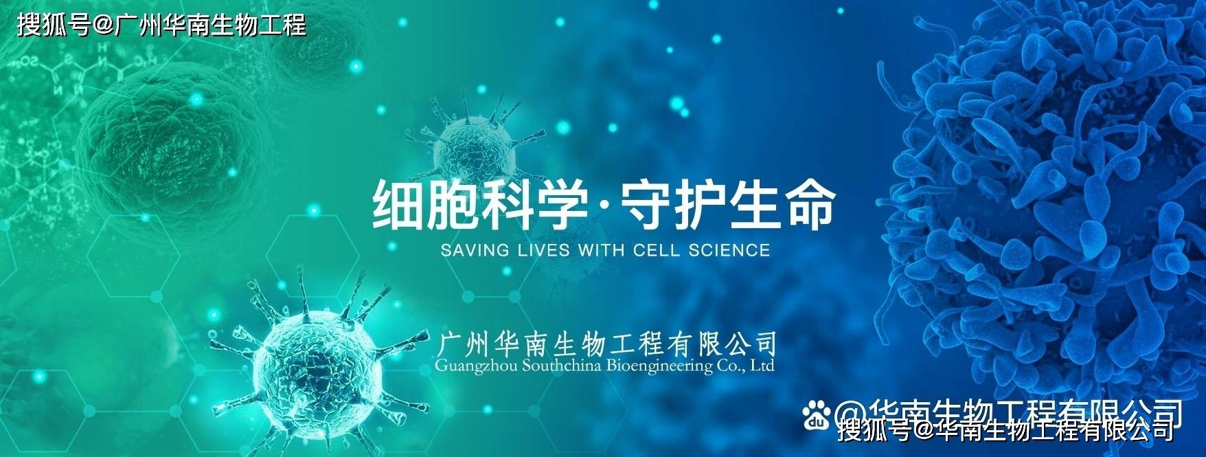 丹麦ssi中国官网中文版